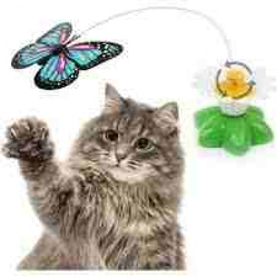 Pilli Hareketli Dönen Kelebek Kedi Oyuncağı Catch Butterfly Pilli Hareketli Dönen Kelebek Kedi Oyuncağı Catch Butterfly